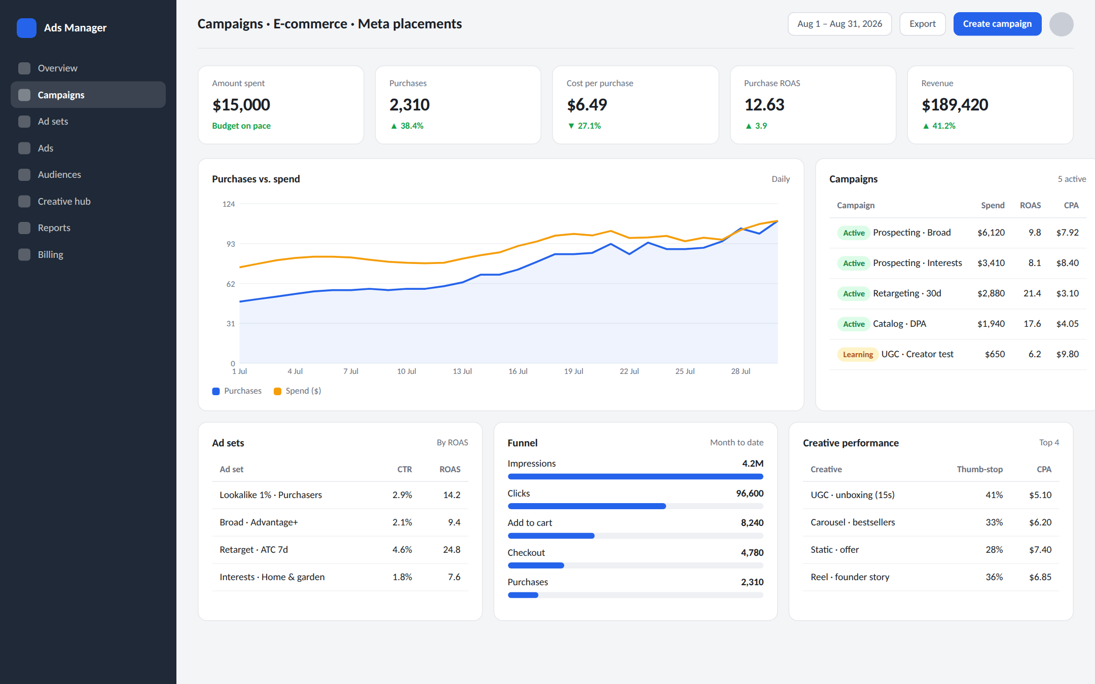 Paid campaign manager — illustrative dashboard
